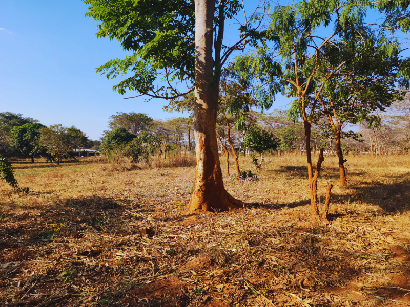 INVESTMENT PROPERTY FOR SALE – LUSAKA (NEW KASAMA)